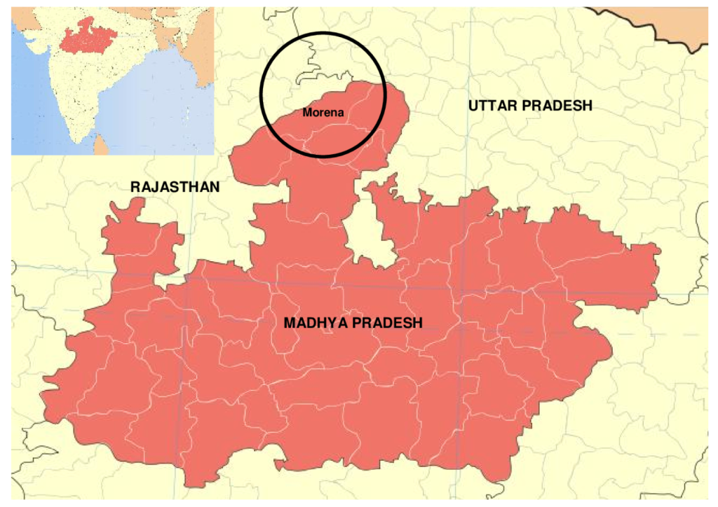 From Captivity to Conservation: Gharials Reclaim Chambal Waters