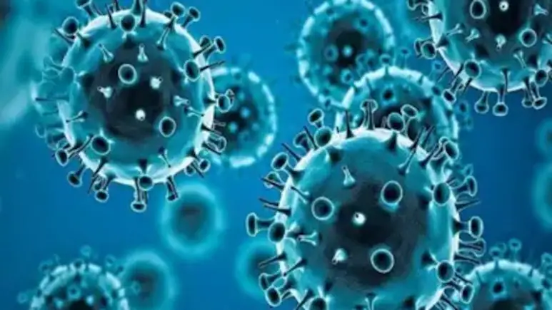 Illustration of Human Metapneumovirus (HMPV), a microscopic virus with spherical particles, commonly associated with respiratory illnesses, surrounded by protein spikes